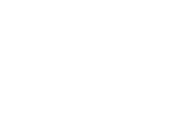 ChessAlways Logo